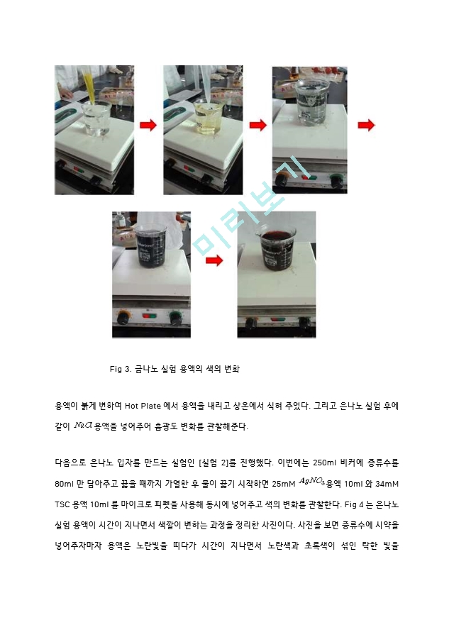 금나노와 은나노 입자의 합성 실험 결과레포트 [A＋].hwp